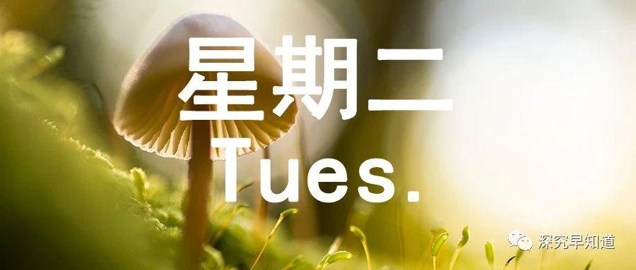 国际时事新闻简报，国际时事新闻简报概览