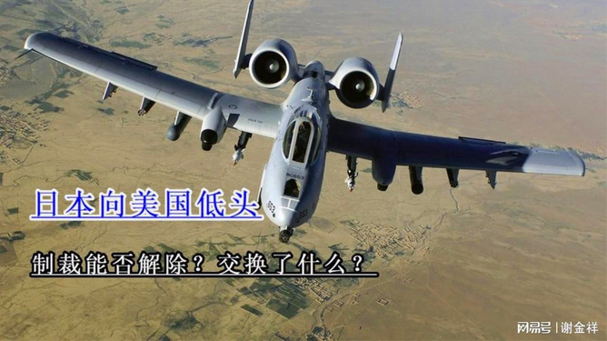探讨A-10攻击机的内置弹枪系统，A-10攻击机内置弹枪系统深度解析