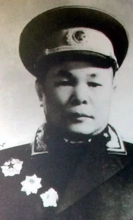 壮族开国将军与吃人将军，历史迷雾中的真相探寻，壮族开国将军与吃人将军，历史真相探寻之路