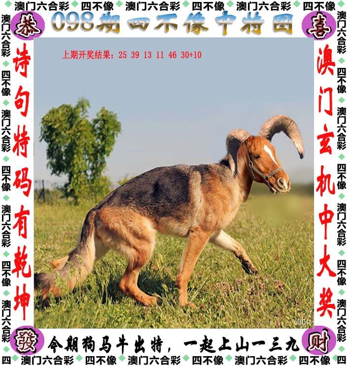 新澳2025今晚开奖资料四不像，新澳2025今晚开奖资料独家解析四不像现象