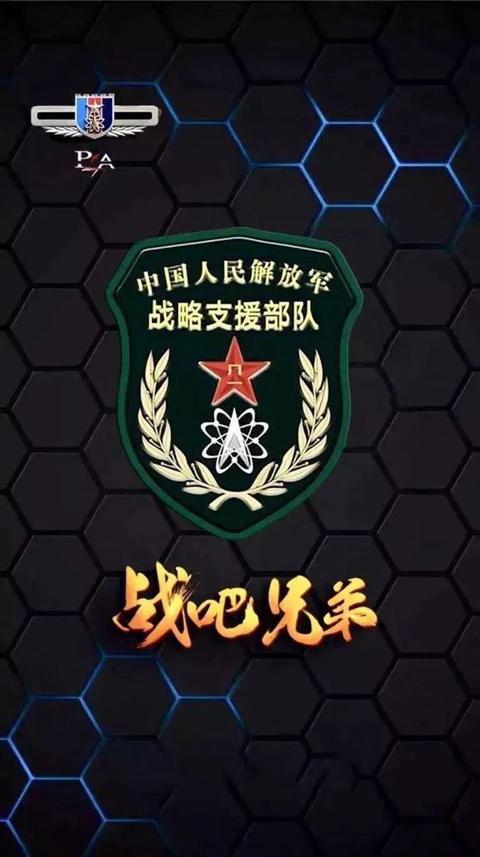 战略支援部队的数量与构成，深度解析与探讨，战略支援部队，数量与构成深度解析及探讨