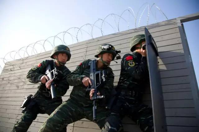 中国人民武装警察部队特种警察学院，是985还是211——深入解析与探讨，中国人民武装警察部队特种警察学院，985还是211？深入解析与探讨