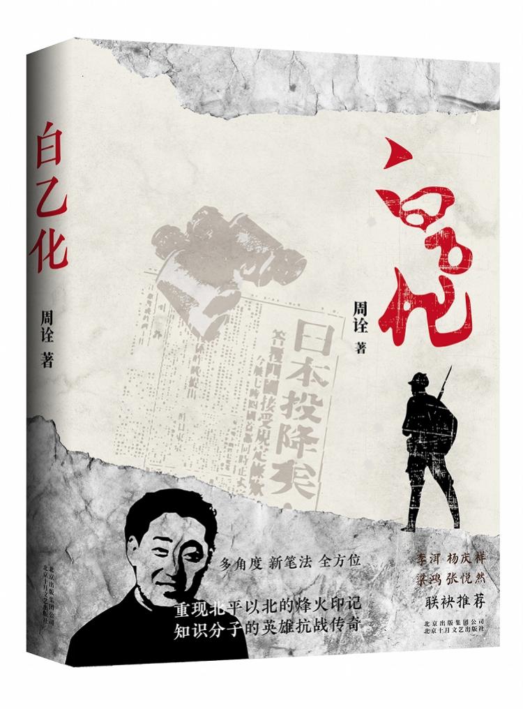 凤凰网新闻小说的魅力与深度，凤凰网新闻小说的魅力与深度解析