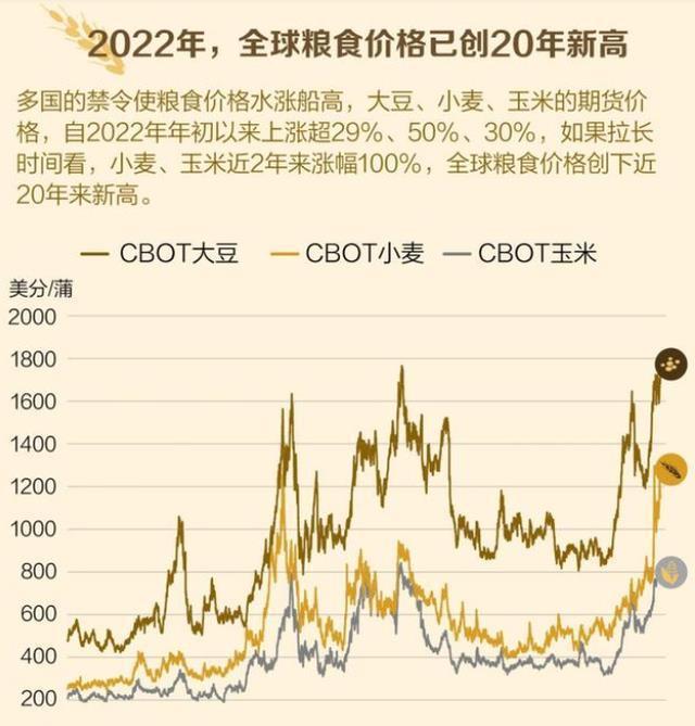 全球聚焦，2022年世界粮食危机最新消息，全球关注下的粮食危机，2022年世界粮食状况最新动态