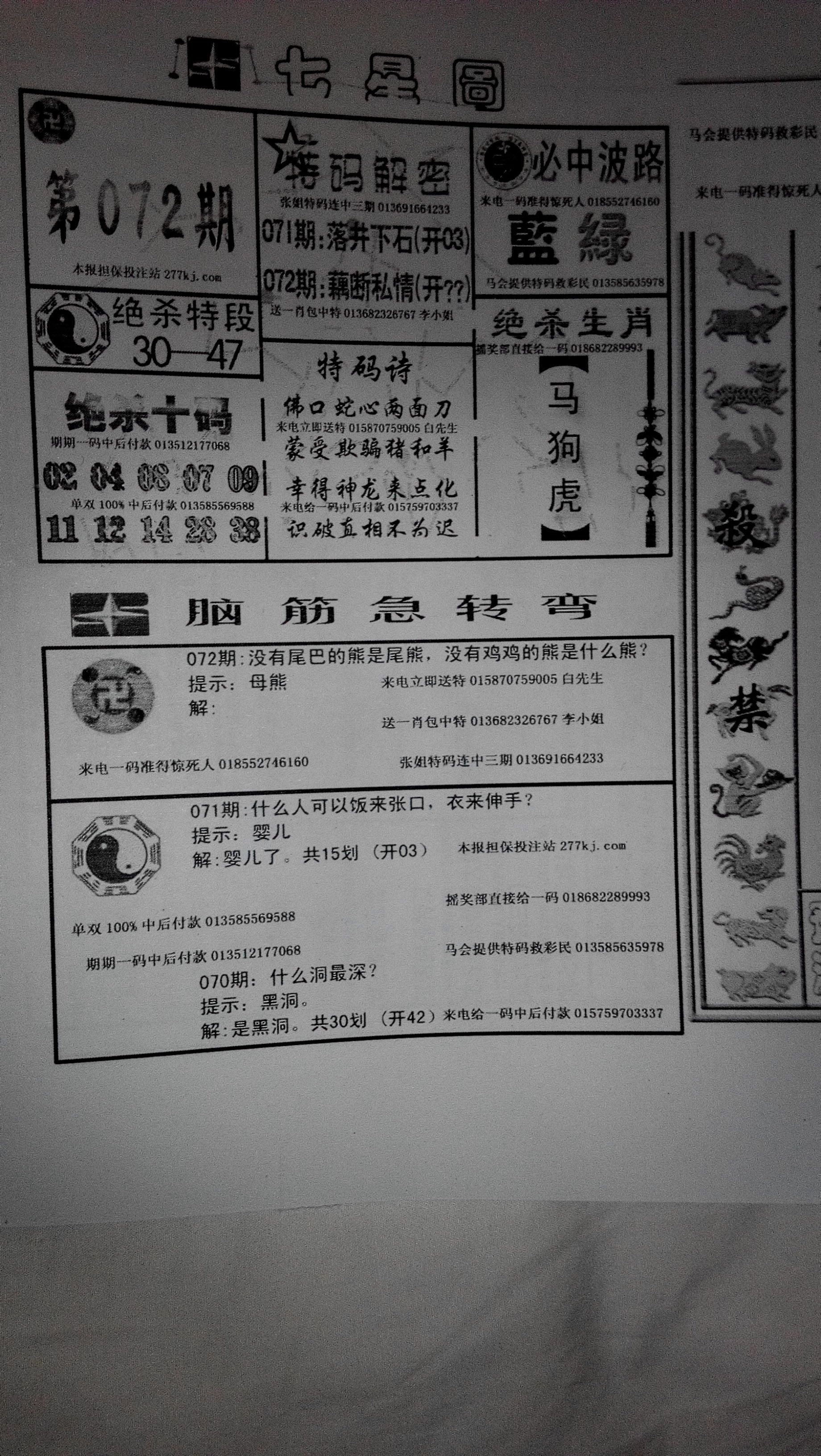 王中王347期指一生肖——探寻生肖文化中的独特魅力，探寻生肖文化独特魅力，王中王347期指一生肖揭秘