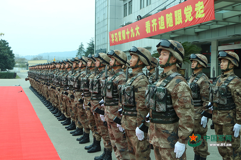 人民解放军网官网，新时代的军网传播力量，人民解放军网官网，新时代军网传播的主力军