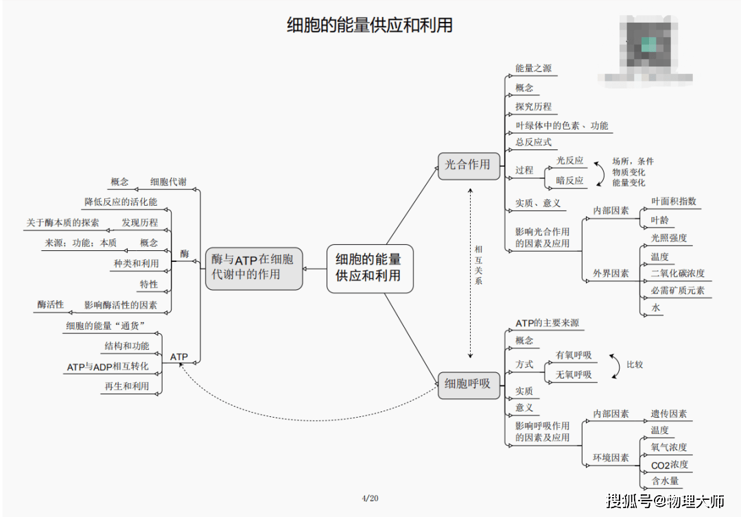 澳门三期内必开一肖精，深度解析与预测，澳门三期内必开一肖深度解析与精准预测