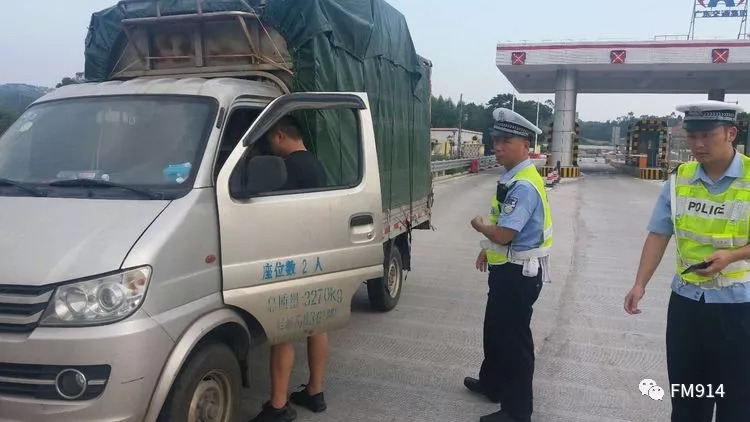 临终高速王中王打一生肖