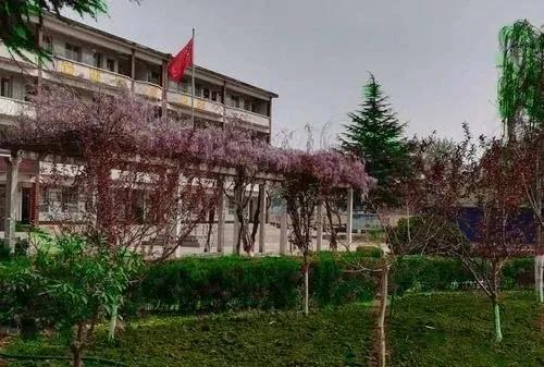 彩票神秘面纱揭晓
