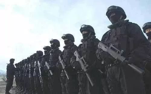 中国各大特种部队，神秘的力量与时代的担当，中国特种部队，神秘力量与时代担当的彰显