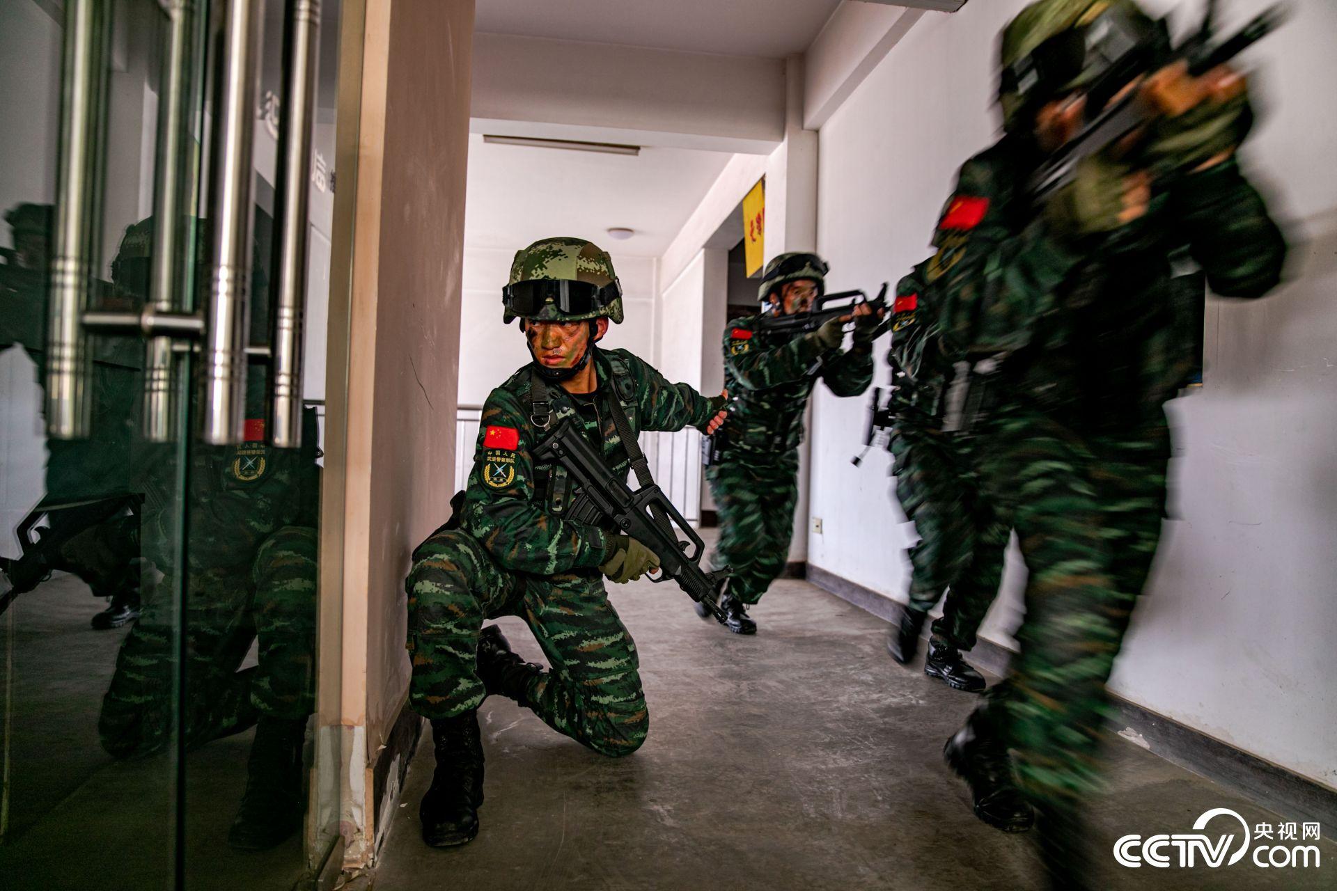 武警最强悍的特战队，荣耀与使命的象征，武警最强悍特战队，荣耀与使命的象征