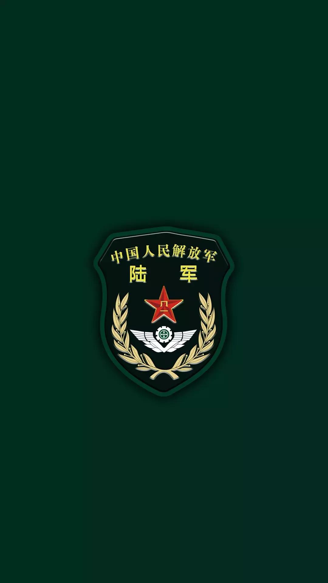 陆军中的多元兵种，探索与解析，陆军多元兵种，探索与深度解析
