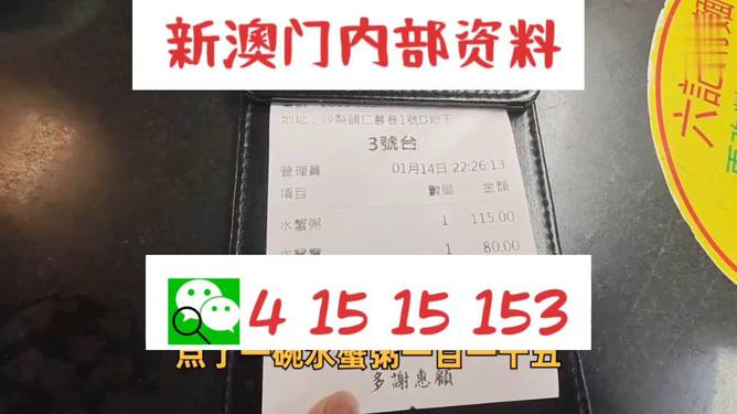 澳门正版内部资料大公开，深度解读历史、文化与发展，澳门正版内部资料揭秘，历史、文化与发展深度解读