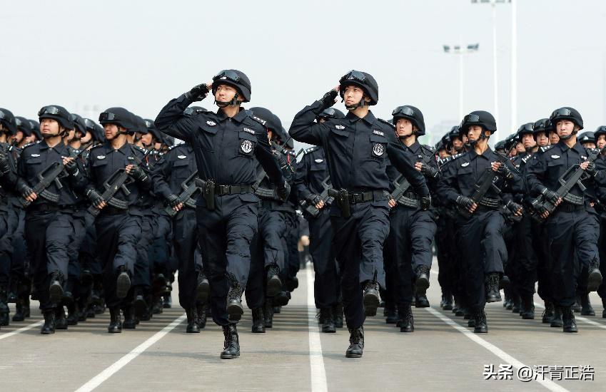 中国武警特种警察学院录取分数线解析，中国武警特种警察学院录取分数线详解