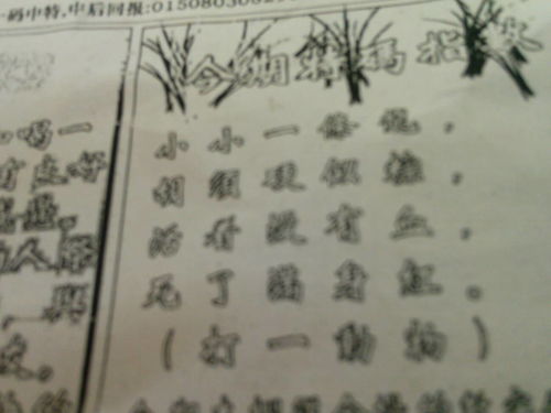 刘伯温一生肖，传奇人生与智慧象征，刘伯温传奇人生与智慧象征，一生肖传奇之旅