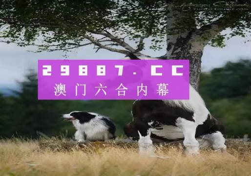获取途径与免费获取方式（探索最新方式）