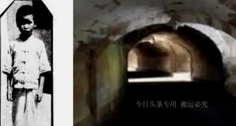 彭士禄个人资料简介，彭士禄，个人简介与生平概述