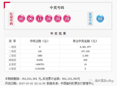 王中王一字拆一肖，探寻背后的文化魅力与智慧解读，王中王一字拆一肖，探寻背后的文化魅力与智慧解读揭秘