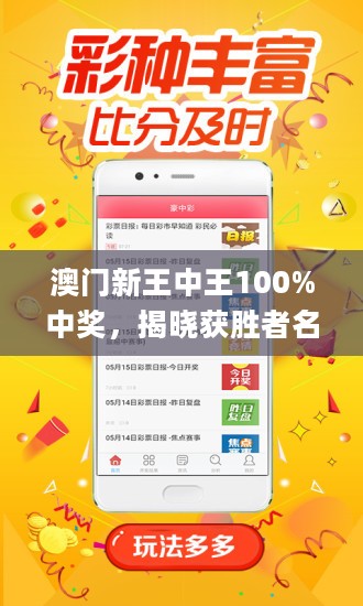 新澳门王中王100%期期中——揭秘彩票背后的秘密，揭秘新澳门王中王彩票，期期中背后的秘密