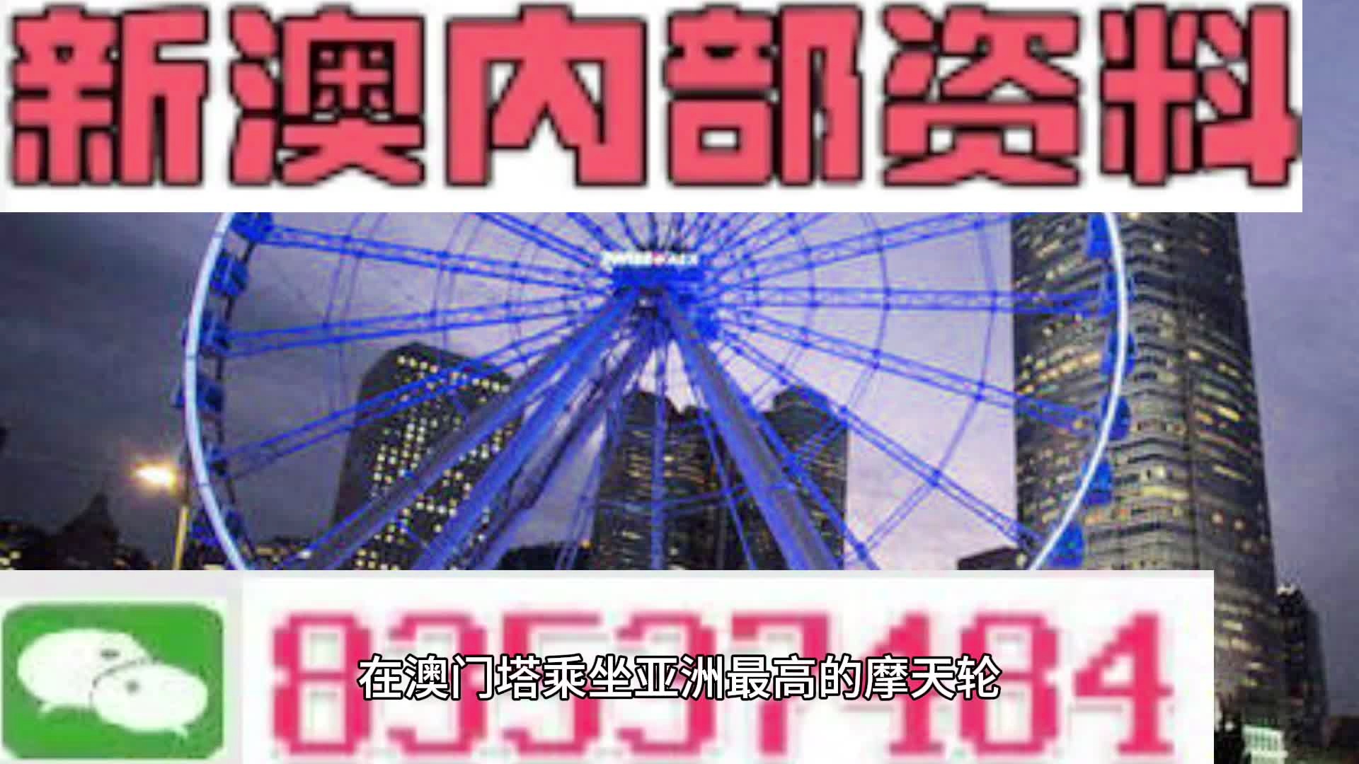 神秘数字世界探索