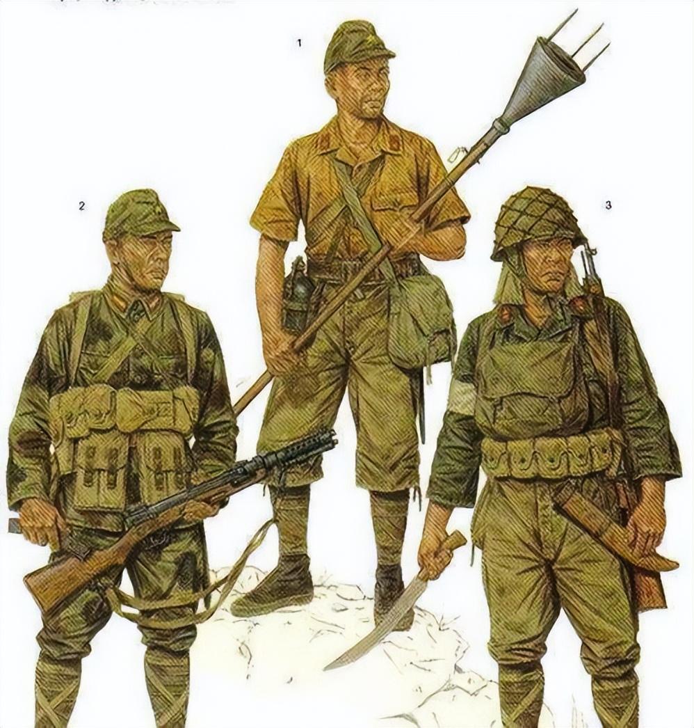 武器装备概念，深度解析与应用展望，武器装备概念深度解析与应用展望展望