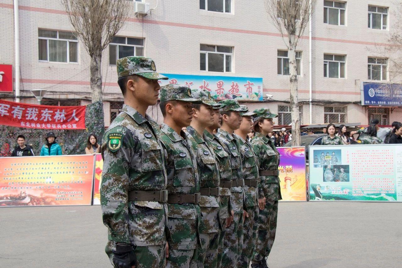 关于征兵宣传文章，征兵宣传，激发青春热血，共筑强军梦