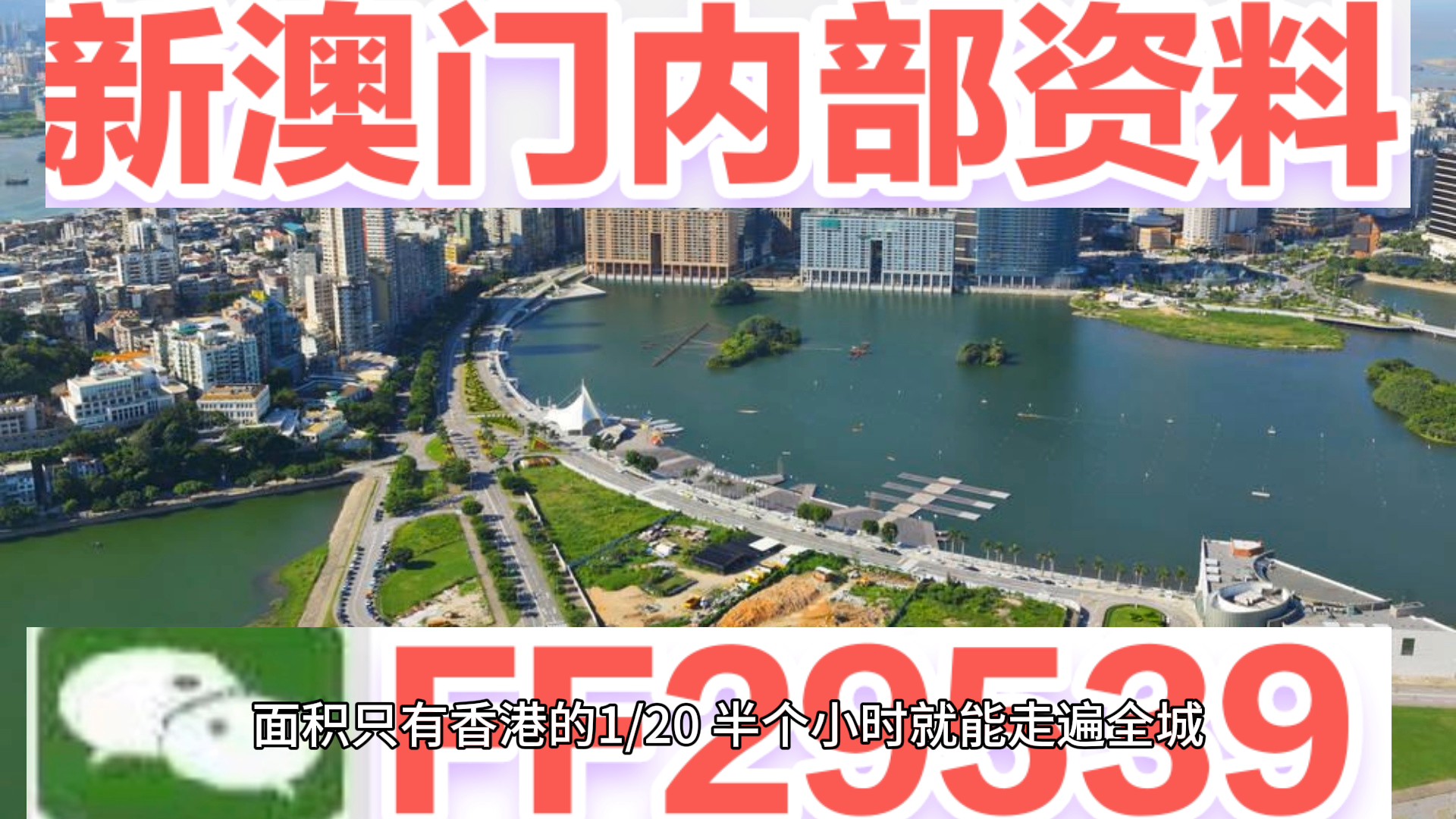 澳门今晚开，探寻未来的繁荣与机遇，澳门未来繁荣与机遇探寻之夜