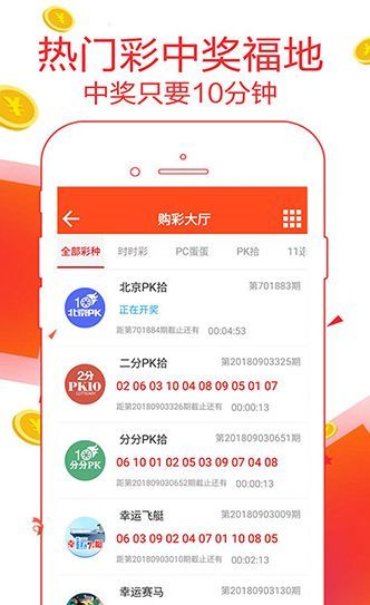 王中王2469com主博一肖，探索与解读，王中王2469com主博一肖，深度探索与解读