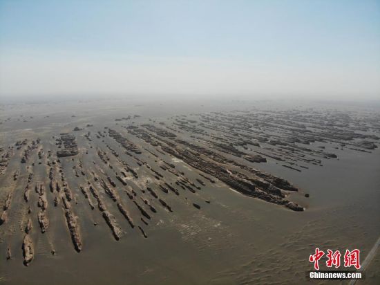 雅丹西海舰队，探索未知，铸就辉煌，雅丹西海舰队，未知领域的探索与辉煌铸就