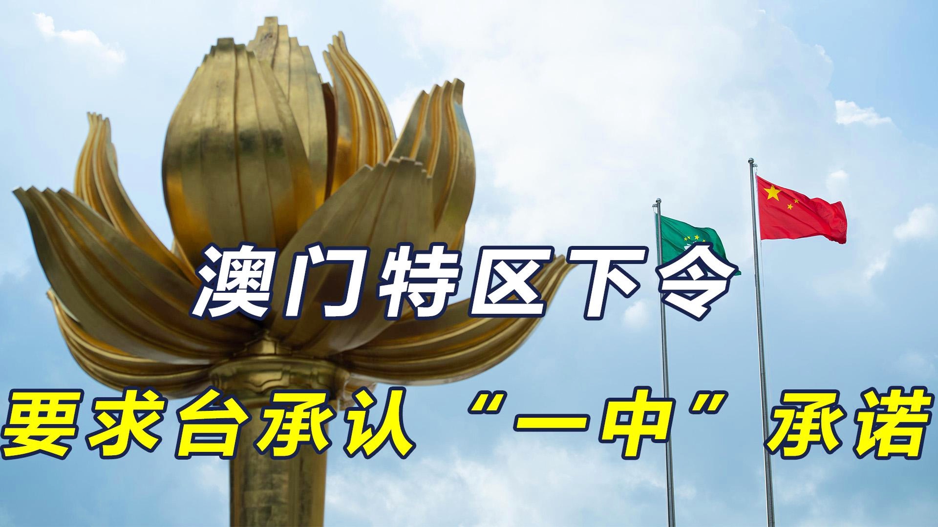 新澳门一码一肖一特一中准选今晚，探索澳门博彩文化的魅力，澳门博彩文化魅力探索，今晚一码一肖一特一中准选揭秘