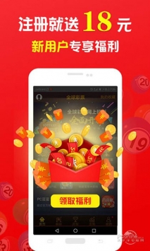 探索数字背后的故事，王中王与肖中的独特魅力，数字背后的故事，王中王与肖中的独特魅力探索