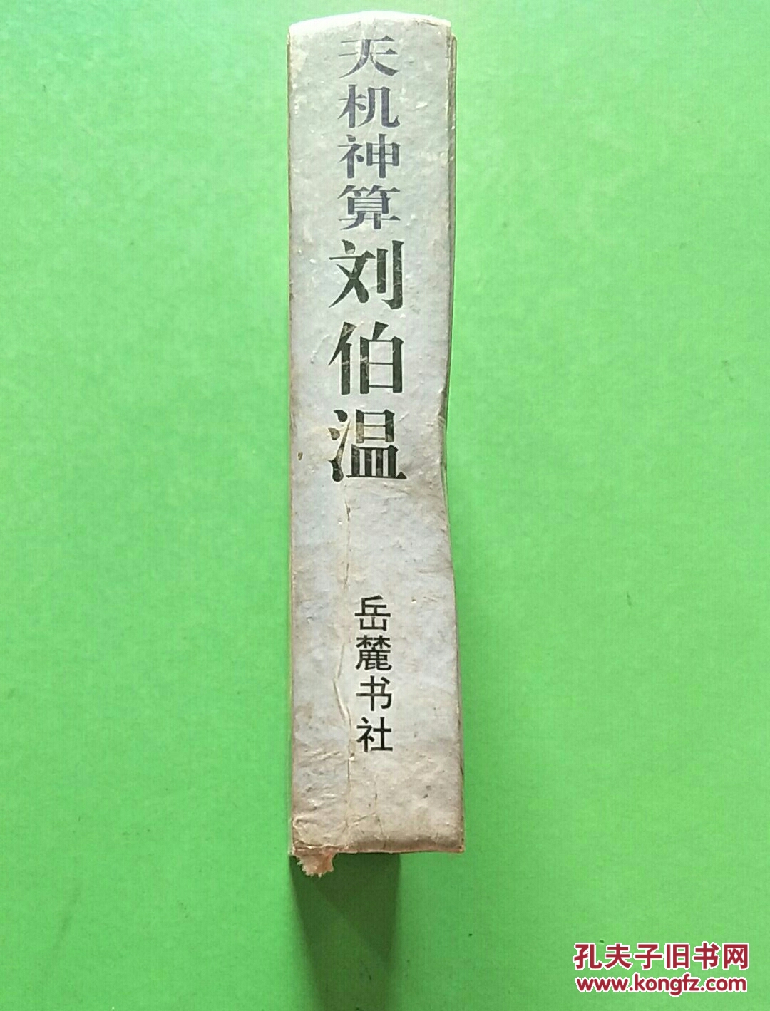 刘伯温一肖中特期期精准，神秘预测的魅力与智慧之源，刘伯温精准预测一肖中特期期揭秘，神秘预测的魅力与智慧之源探索