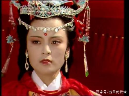 探索正版管家婆软件的魅力与价值，正版管家婆软件的魅力与价值探索