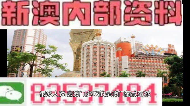 澳门精准内部资料大全，深度探索与解读，澳门精准内部资料大全，深度解读与探索