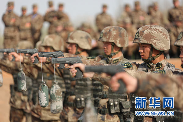 揭秘二十一集团军，实力与荣耀的展现，二十一集团军实力与荣耀揭秘