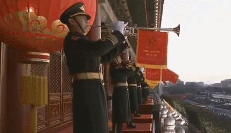 武警仪仗队，荣耀与责任的象征，武警仪仗队，荣耀与责任的象征标签