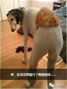 西雅图在美国的地理位置，东部还是西部？，西雅图在美国的地理位置，东部还是西部？解析与探讨