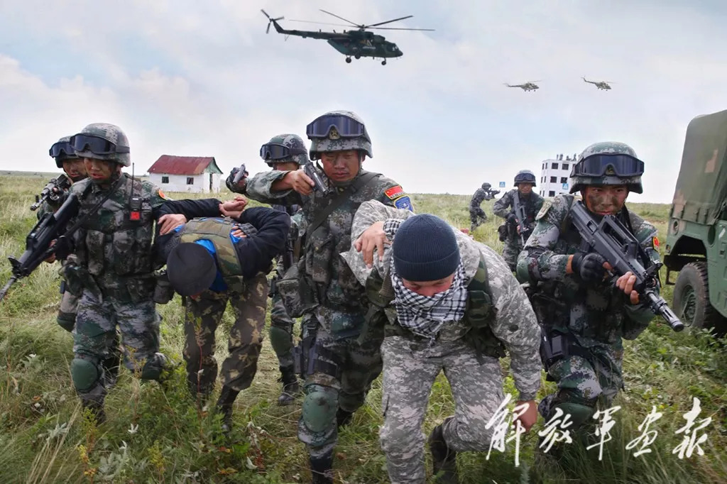 和平使命，免费全集的启示与意义，和平使命，免费全集的深层启示与意义探讨