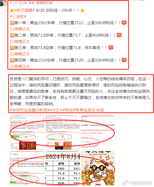 香港最准一肖王中王，揭秘神秘预测背后的故事，揭秘香港最准一肖王中王的神秘预测故事