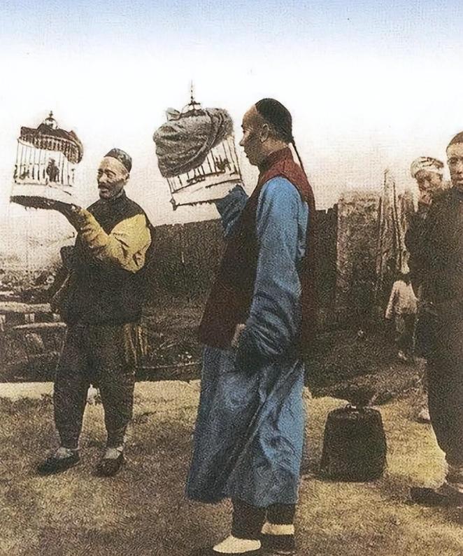 甲午中日战争中的武器对比，甲午中日战争武器对比研究
