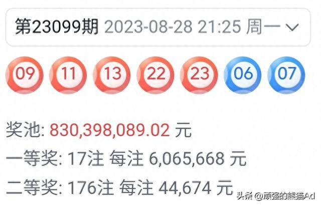 白小姐一肖王中王期期准的魅力与神秘，白小姐王中王期期准的魅力与神秘传奇