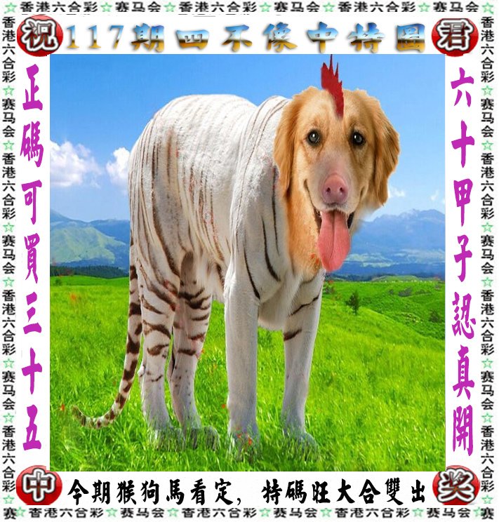 神秘预言背后的真相