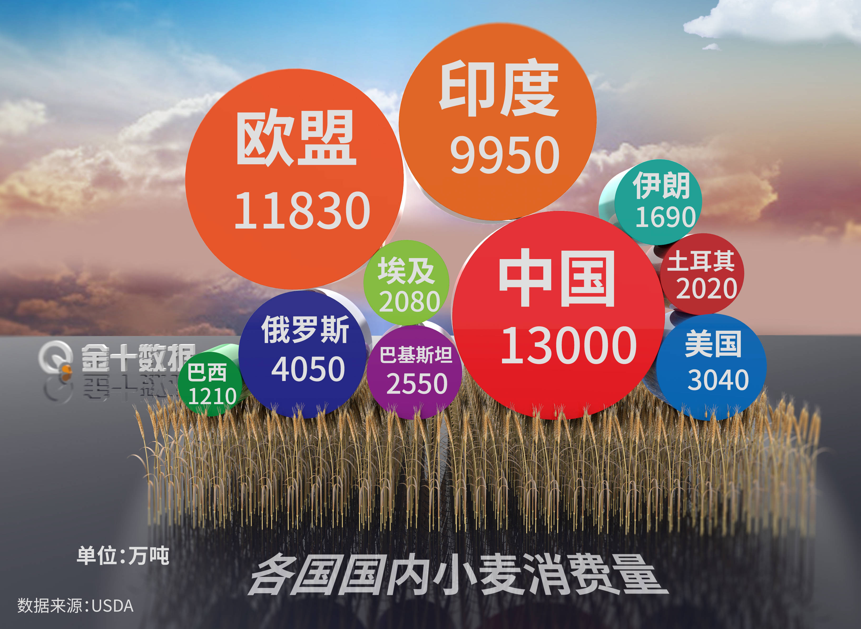 全国开始抢购粮食，背后的原因与应对策略，全国粮食抢购潮，原因探究与应对策略