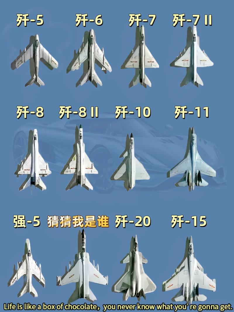 中国歼十六飞机的种类及其特点，深入了解中国航空工业的杰出代表，中国歼十六系列飞机种类与特点详解，中国航空工业的骄傲与杰出代表