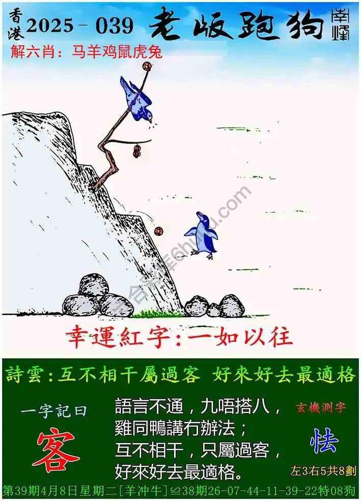 探索新版跑狗，77777与8888的魅力之旅，新版跑狗探索之旅，77777与8888的魅力揭秘