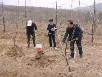 全球鹰无人机产量，现状、趋势与影响分析，全球鹰无人机产量现状及趋势影响分析
