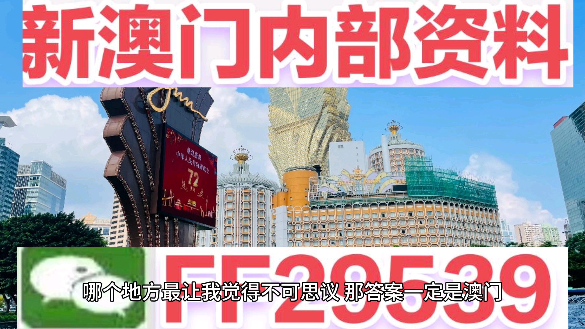 新澳门现场开奖直播在线观看，体验真实与刺激的瞬间，澳门现场开奖直播，真实刺激瞬间在线体验
