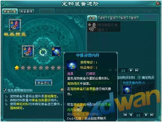天涯论坛中的灵宠灵草，神秘世界的探索与分享，天涯论坛神秘灵宠灵草，探索与分享的世界