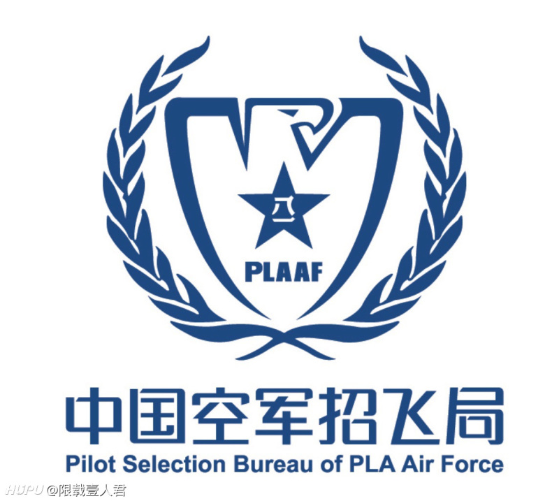 中国空军招飞网下载，探索中国空军招飞之路，探索中国空军招飞之路，招飞网下载指南