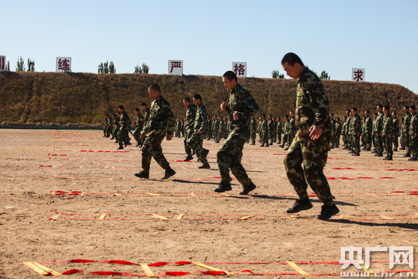 内蒙古乌海消防部队老兵与新兵之间的冲突与反思，内蒙古乌海消防新兵老兵冲突背后的反思与启示